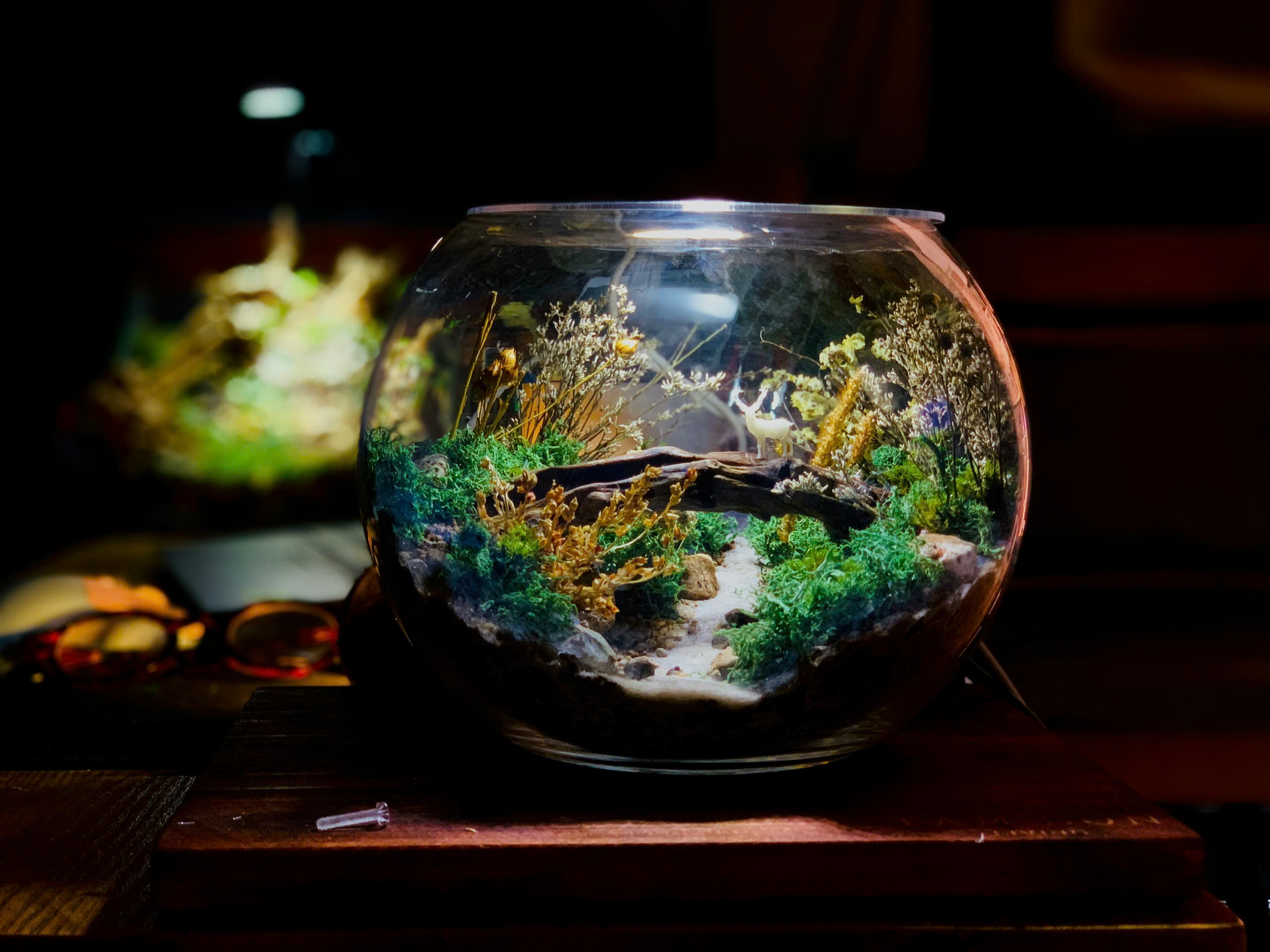 Spherical Forest Terrarium